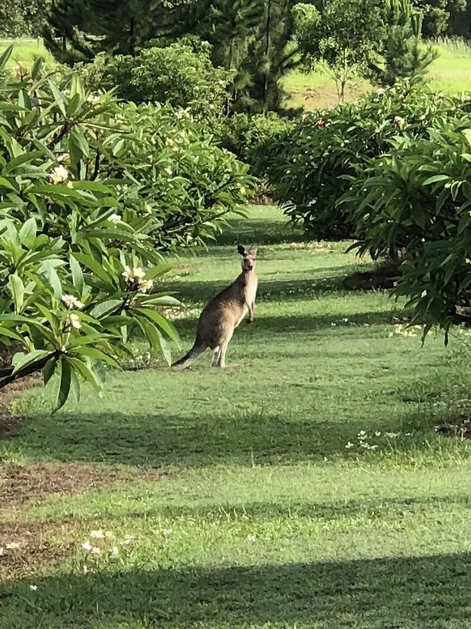 The Frangipani Farm Villa Diddillibah 0*,